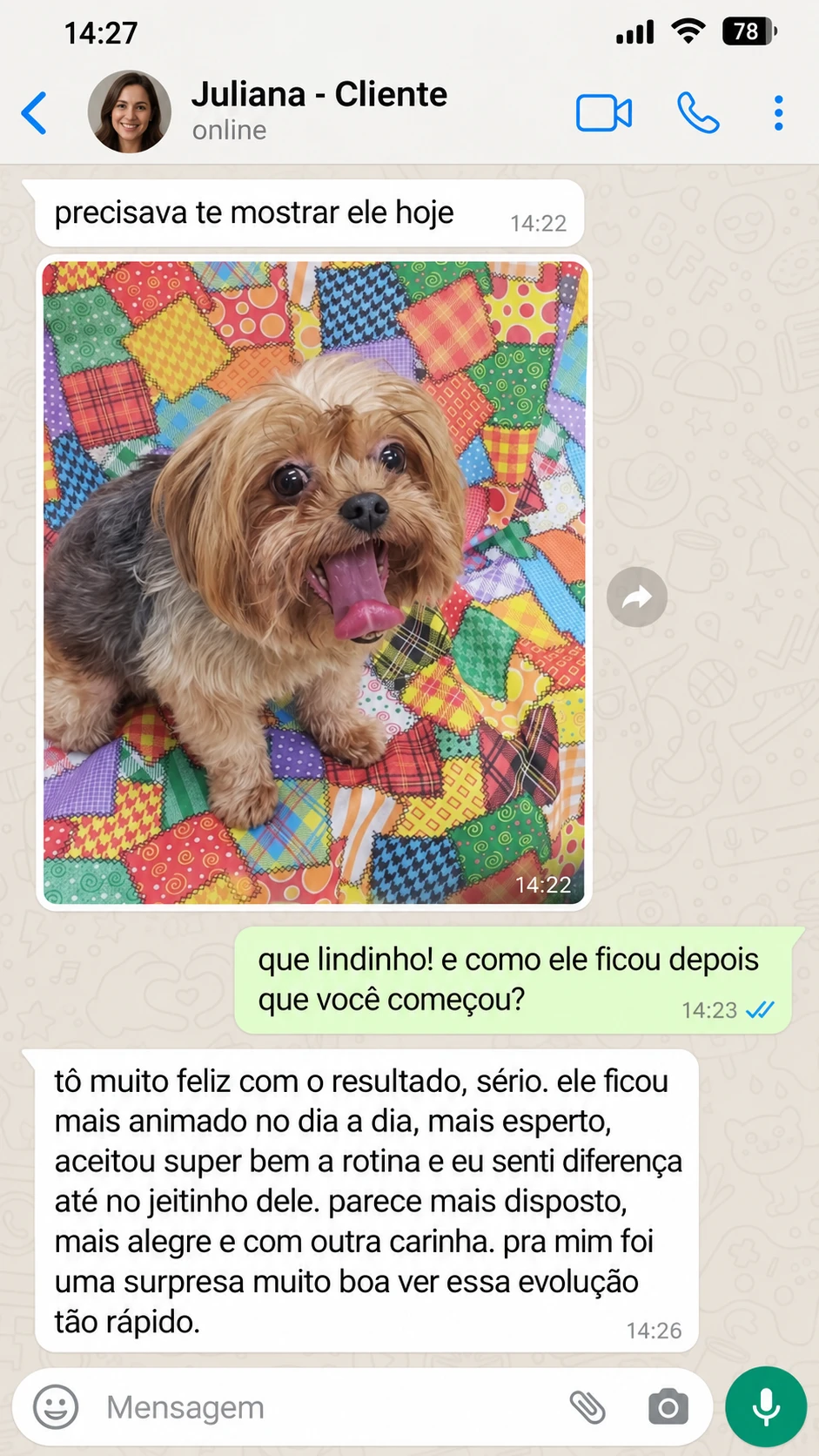 Depoimento da Juliana: cão mais disposto e alegre