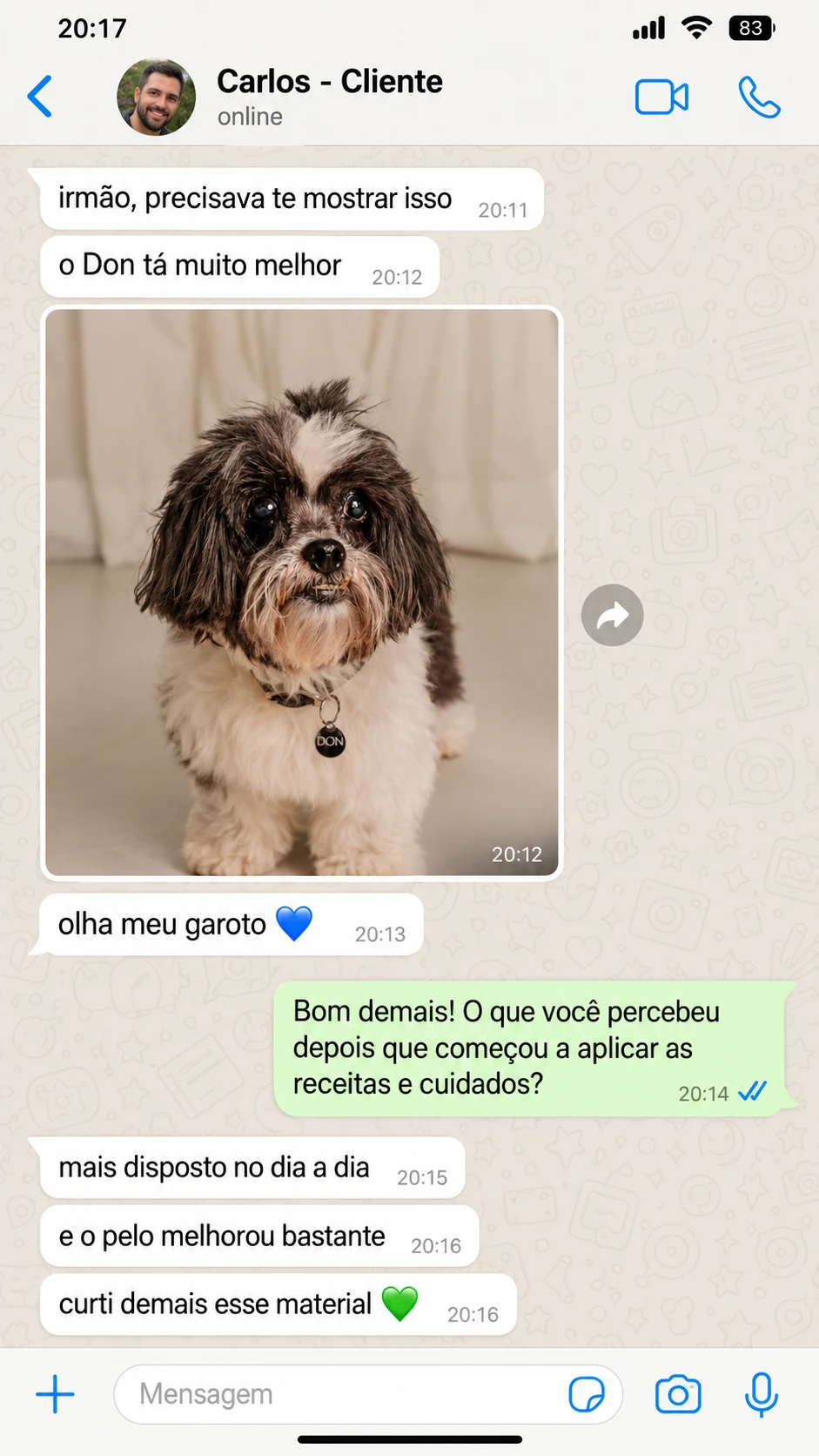 Depoimento do Carlos: o Don mais disposto e com o pelo melhor