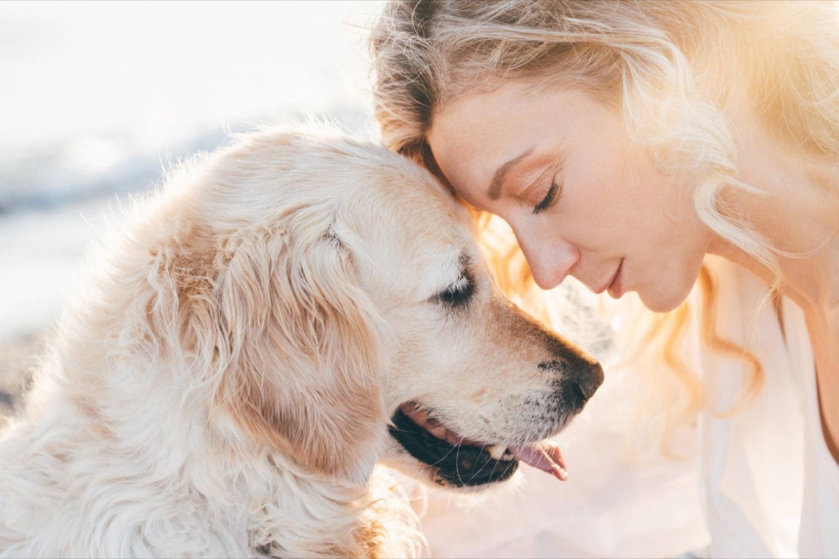 Tutora encostando o rosto no seu golden retriever