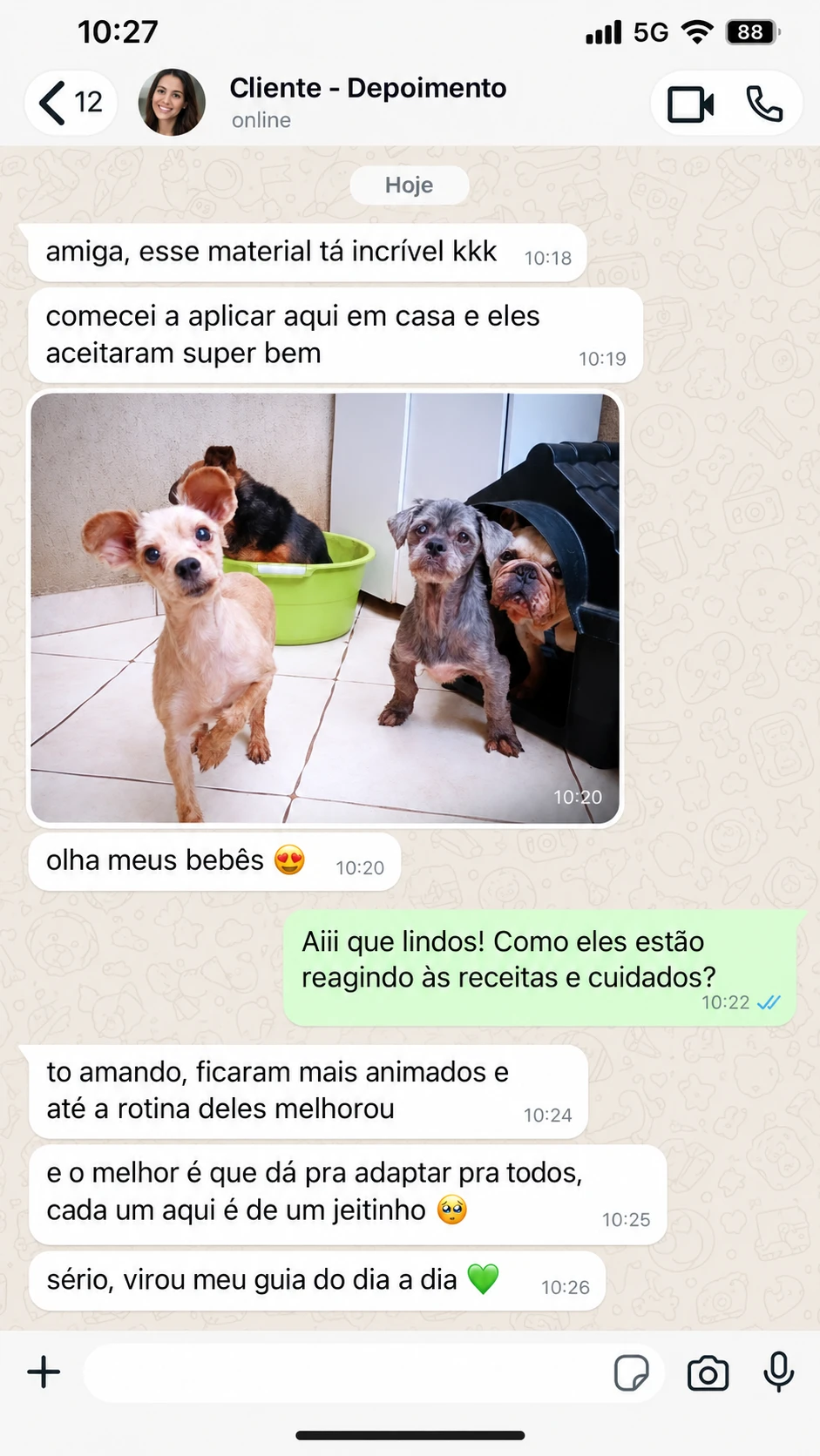Depoimento no WhatsApp: cães mais animados e rotina melhor